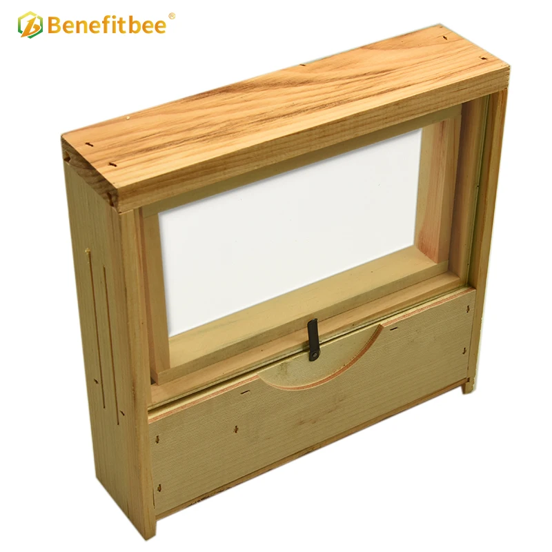 Benefitbee Beekeeping Mini Beehive Transparent Bee Hive Observation Beehive