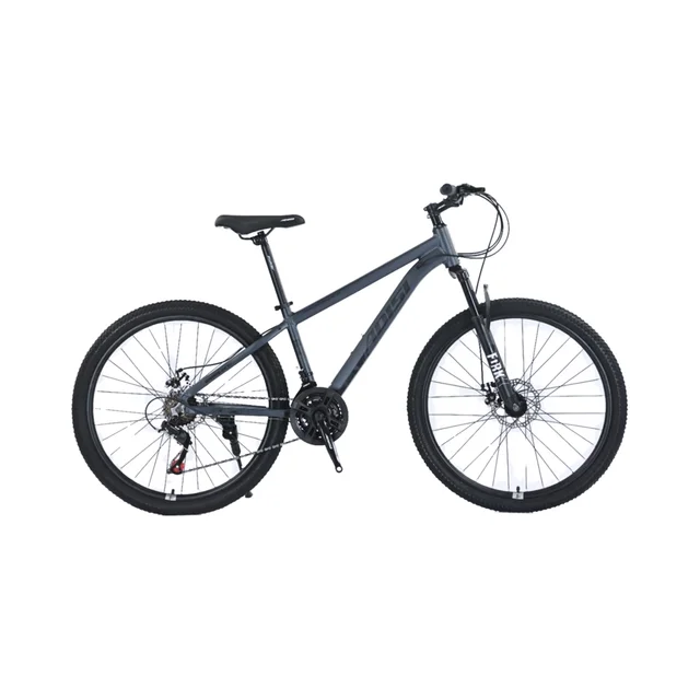 Popular Mountain Bike Customizable Colors for Adults