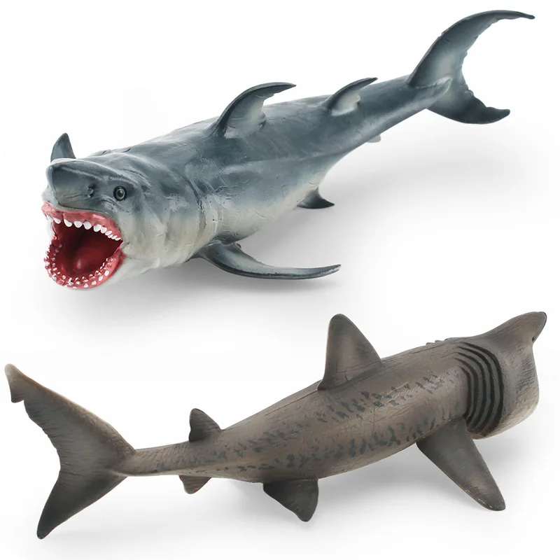 Amazon Simulation Mammal - Great White Basking Shark Model