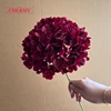#15 hortensias de cabeza grande color borgoña - 18 cm