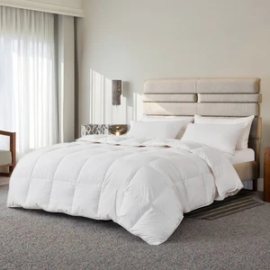 Hilton Style Modern Quilted Queen Microfiber Duvet Insert Winter Soft Fluffy Warm Hypoallergenic Polyester Home Hotel Premium