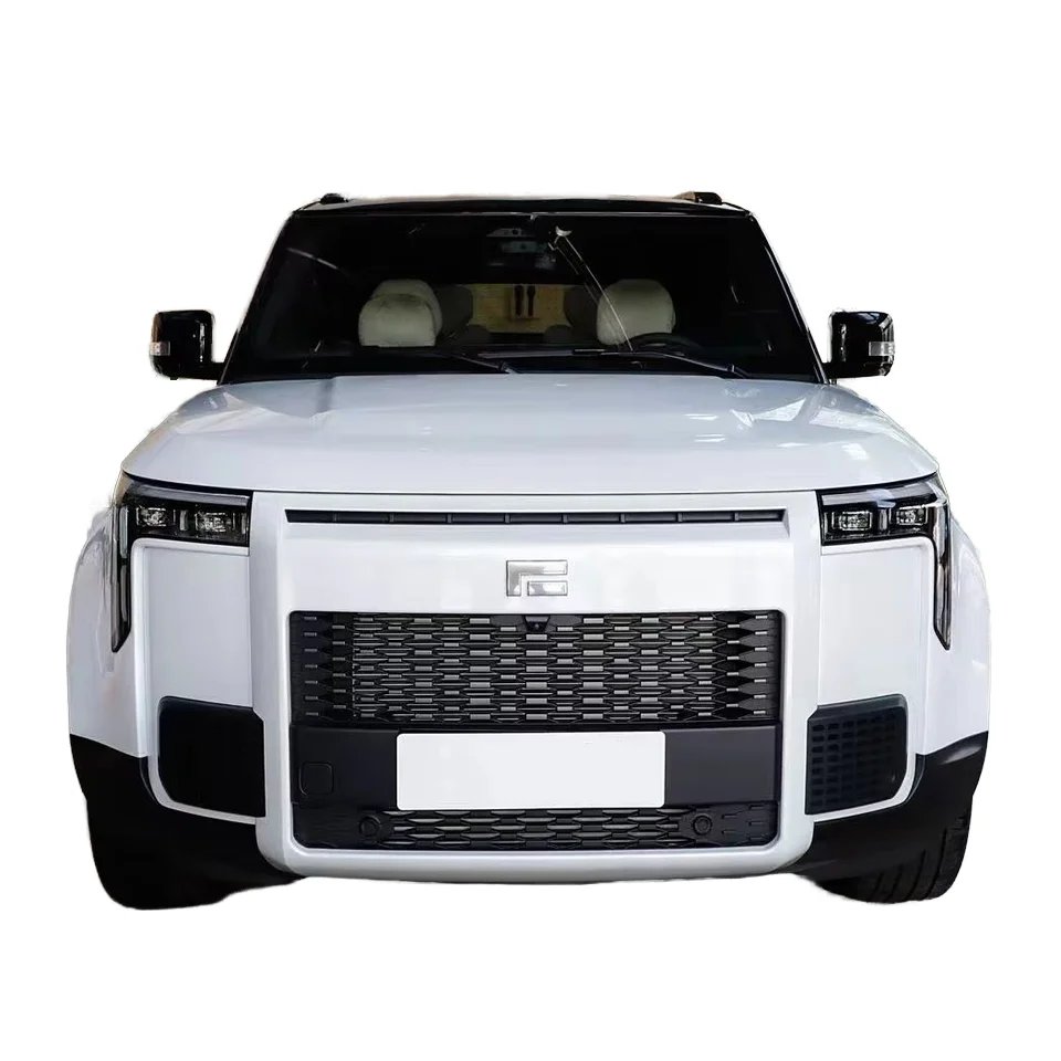 Jishi 01 New Energy Vehicle with 6 Long Endurance Enjoyable Product