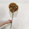 Arancione Verde