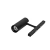Magnetic spot light