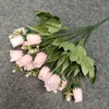 Rose1