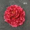 Rose rouge