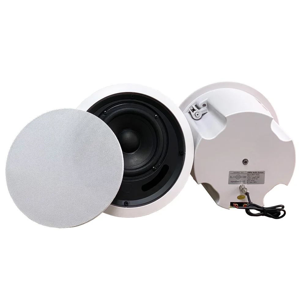 Ceiling Hidden Installation Home Theater System