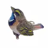 Bluethroat EW13403