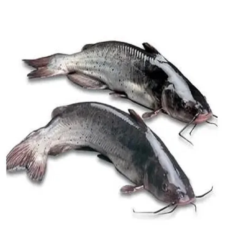 DMPT Dimethylpropiothetin Feed Attractant Promotes Protein Synthesis for Catfish Crayfish Aquatic Feed Additives Cas 4337-33-1