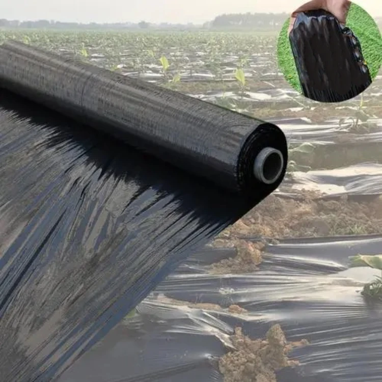 Black Prevent Grass Growth Agricultural Plastic Mulch Film Ground Cover ...