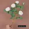 White (5 heads)