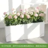 HC-DY501 (white flower box not included)
