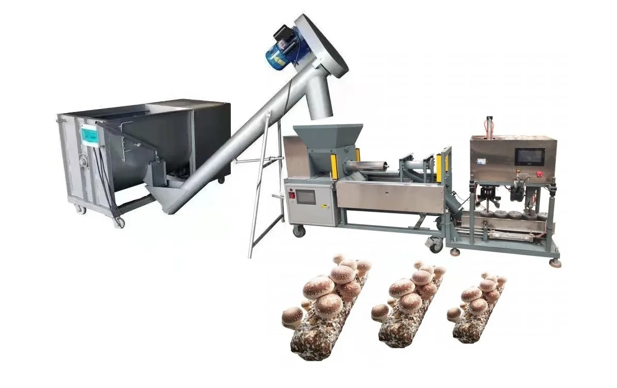 Mushroom Growing Cultivation Equipment Oyster Mushroom Growing