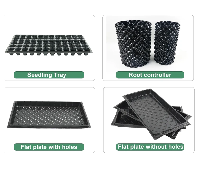 High Quality 600*300mm Size Foldable Flat Pp Plastic Rice Seedling Tray For Rice Seeding Buy