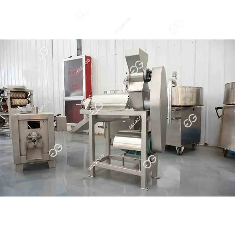 Cucumber Juice Squeezing Machine Pineapple Juice Plant Machine Manufacturing Apple Juice Making Machine for Sale
