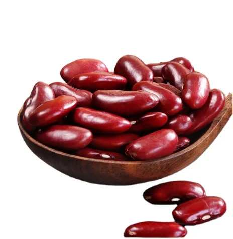 wholesale pinto bean red speckled kidney beans