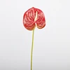 สีแดง