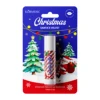 Santa's Velvet Gift