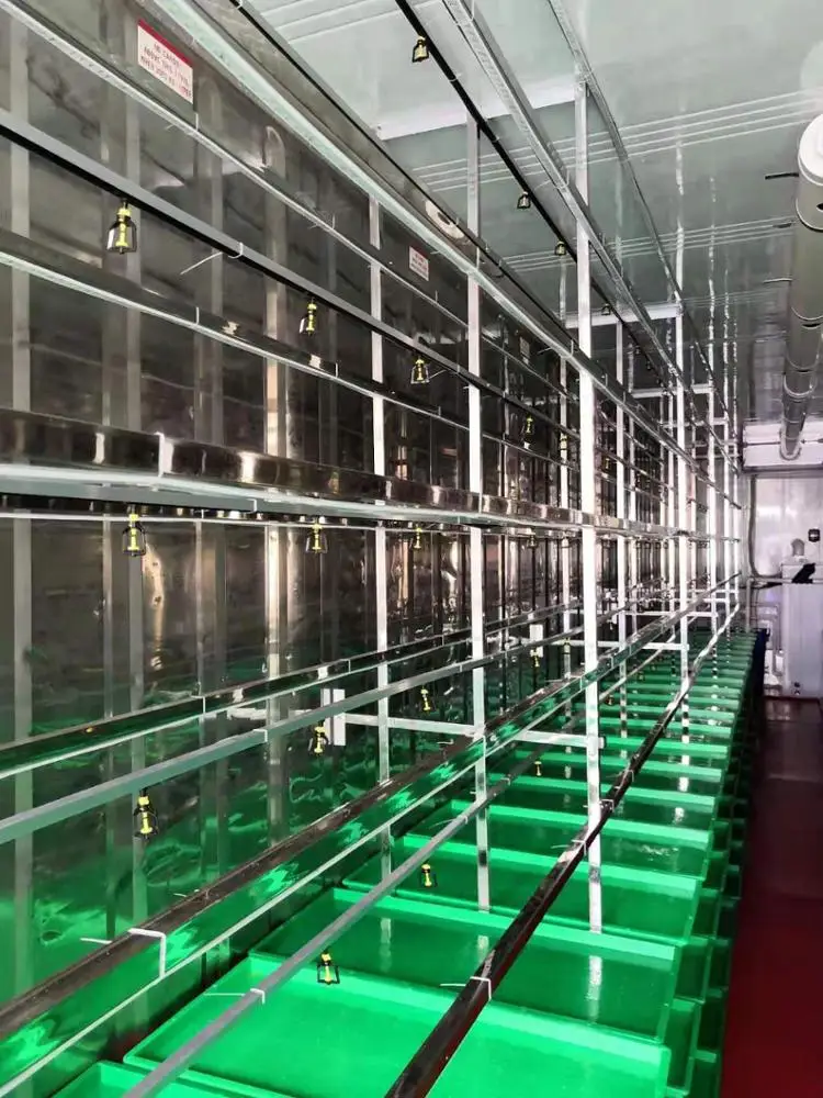 Container Type Automatic Barley Green Grass Hydroponic Fodder Solutions Price