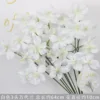 Orquídea Vanda blanca de 3 cabezas