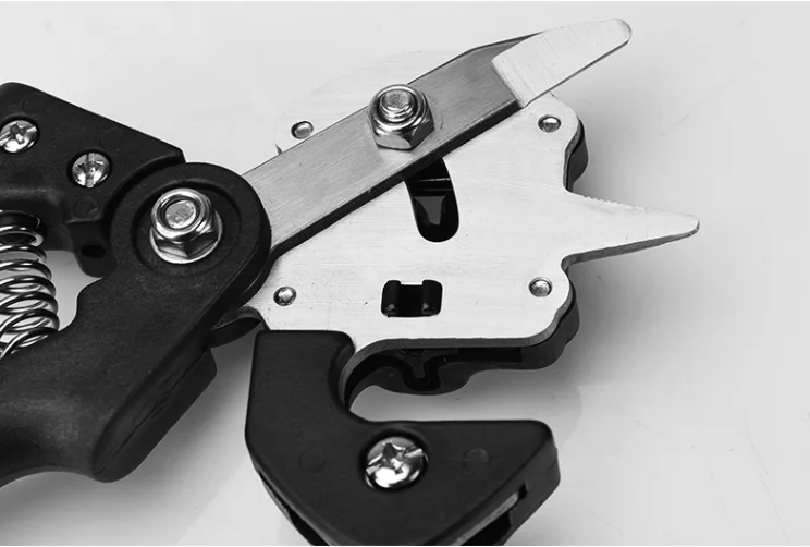 paste-pic-dp_uuid_jqanw