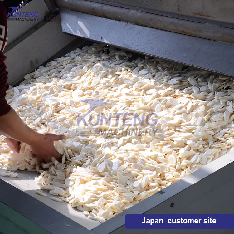 Fully Automatic Processing Line for Sea Cucumber Food Bombay Duck Anchovy Dried Fish Shrimp Drying and Packing Machine Dryer