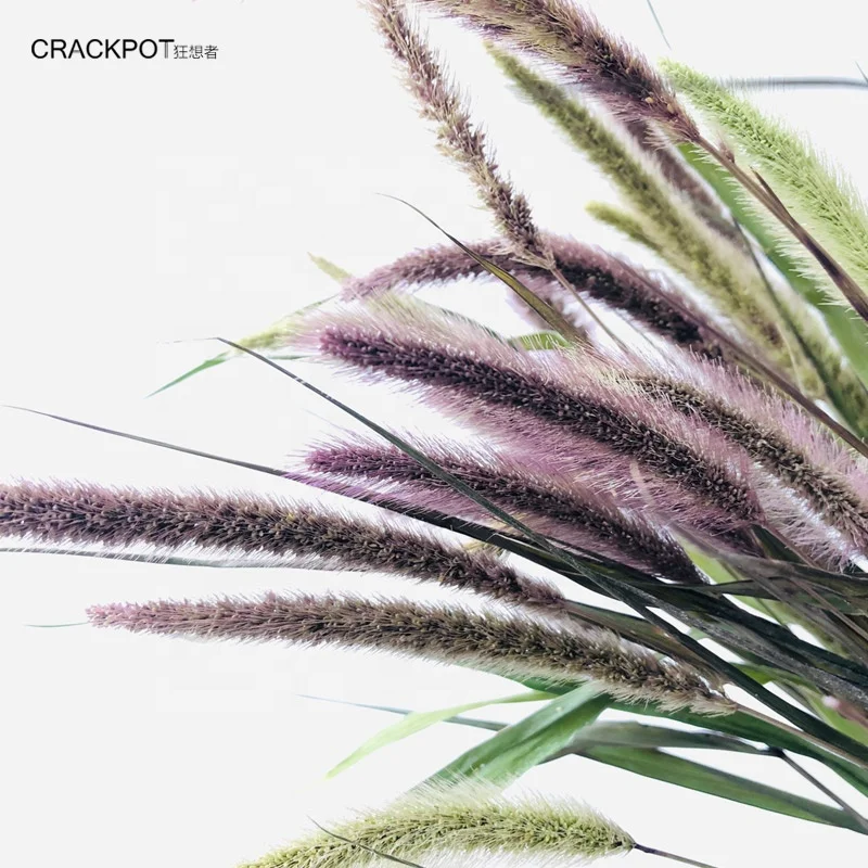 wholesale long time preserved flower green bristlegrass