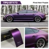 Pinot Noir Purple
