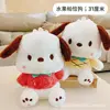 Chien Pacha fruité