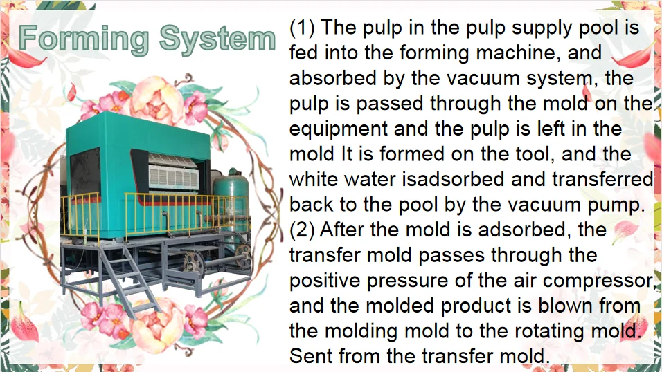 Fully Automatic Egg Tray Making Machinery, Directly Sold By Suppliers factory