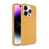 Jaune gingembre