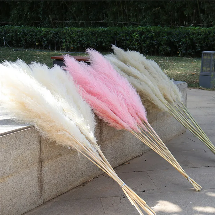 A-1163 Ins 120cm Long Preserved Fluffy Pampasgras Bleached pink Beige White Large Dried Pampas Grass