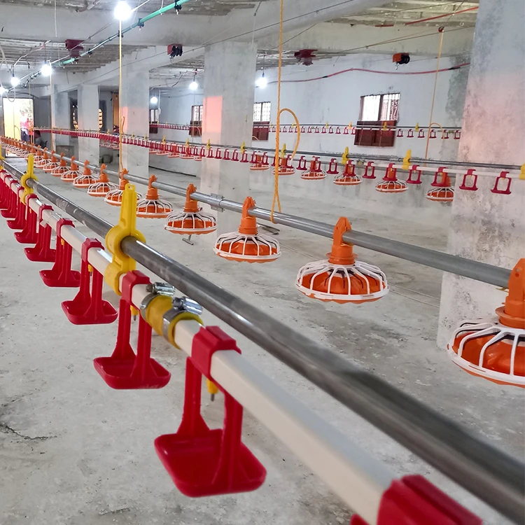 Automatic Controller Economy Broiler House Drinking and Feeding System Poultry Farming Equipment