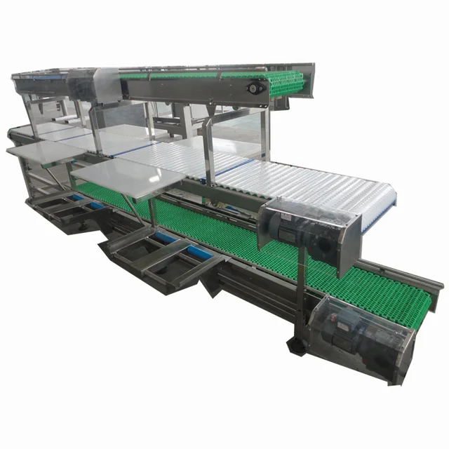 Meat deboning and cutting conveyor belt in meat processing plant