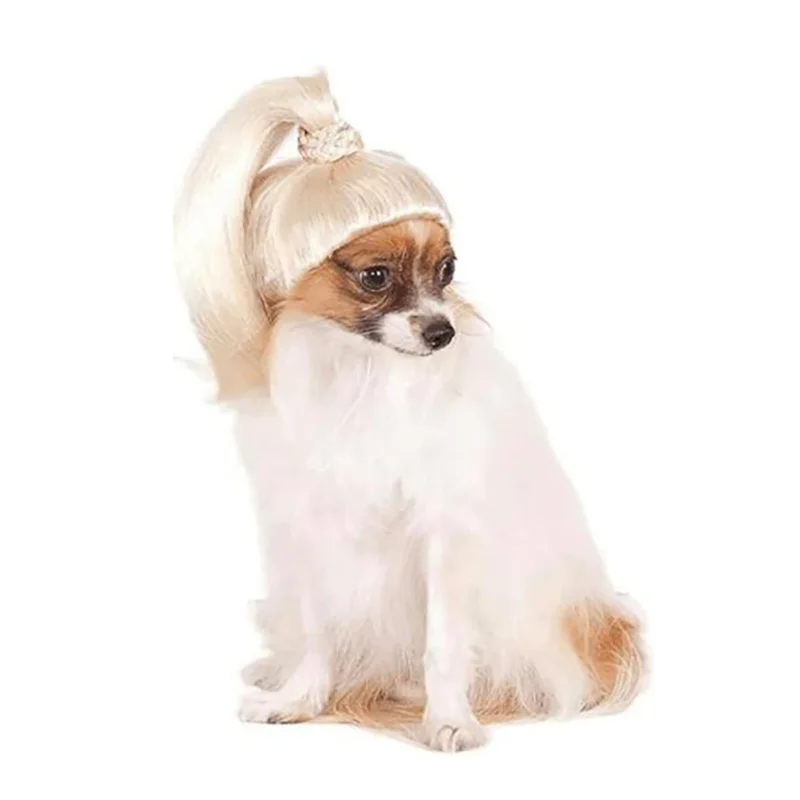 Image 4.png