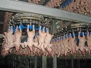 scalding machine poultry slaughterhouse chicken slaughterhouse