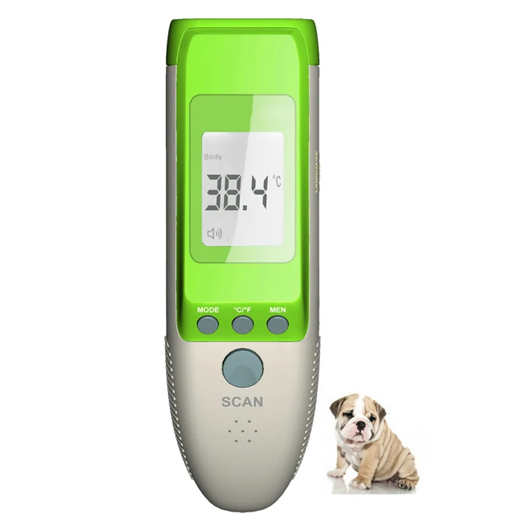 How To Take Dog Temperature With Human Thermometer