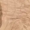 Olive Burl