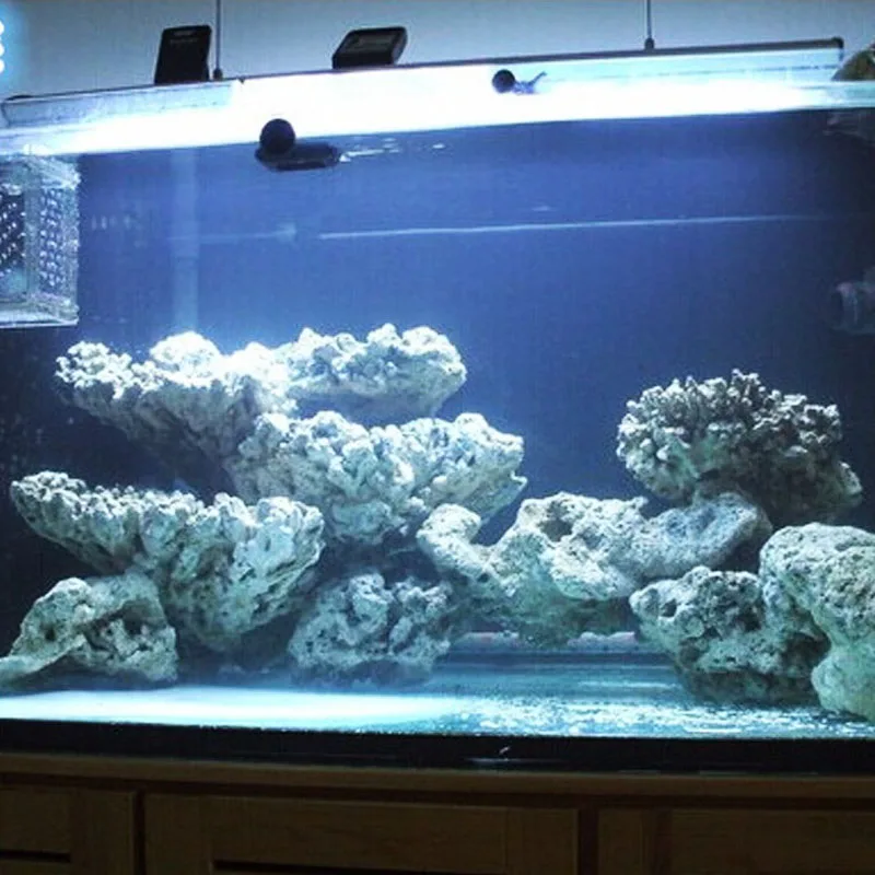 レア珊瑚菊目石原木置物アクアリウム特大3.3Kg