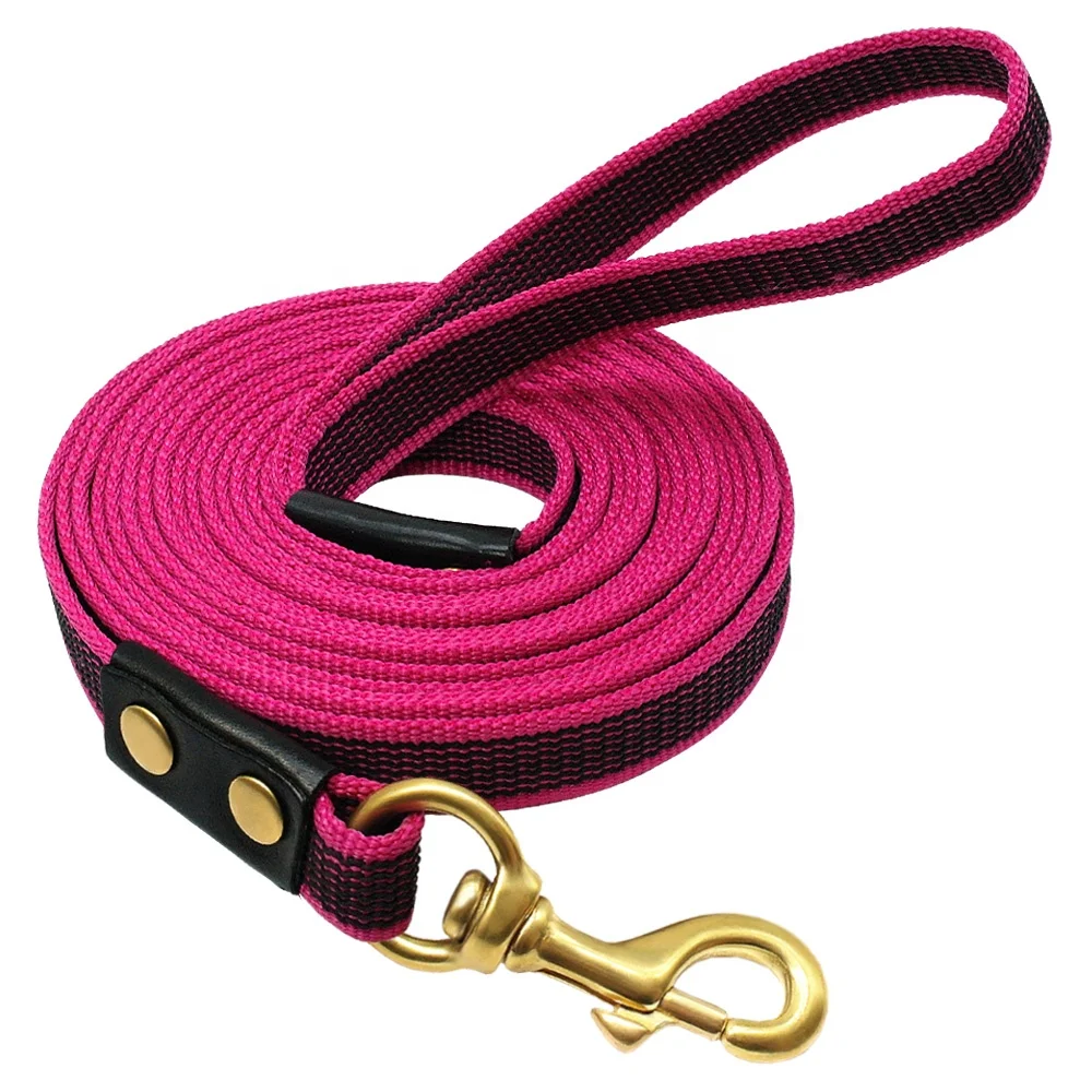 webbing dog leads