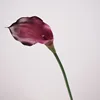 Morado oscuro