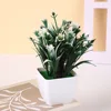 Blanco-verde