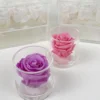 Transparent
