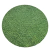 Grass Pattern