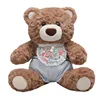 Brown bear bib ai movement box set