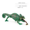 chameleon