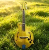 Giallo