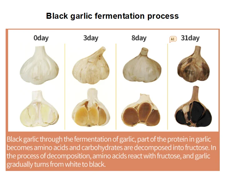 बेस्ट सेलिंग हेल्थ प्रोडक्ट ब्लैक लहसुन ऑयल एक्सट्रैक्ट 4