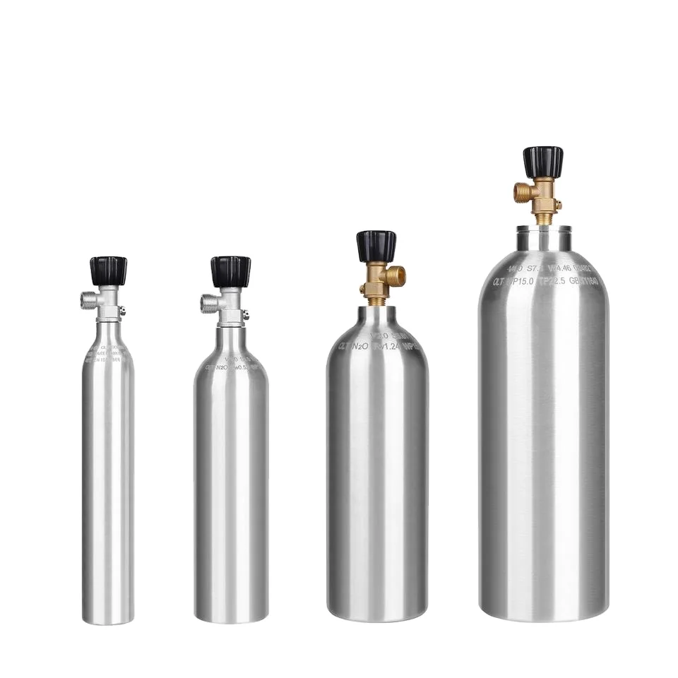 4L Acquario Generatore Di CO2 Sistema Generatore Di Bombole Di CO2 Con Elettrovalvola Diffusore A Bolle Aqua Plant Fish Tank Generatore Di CO2