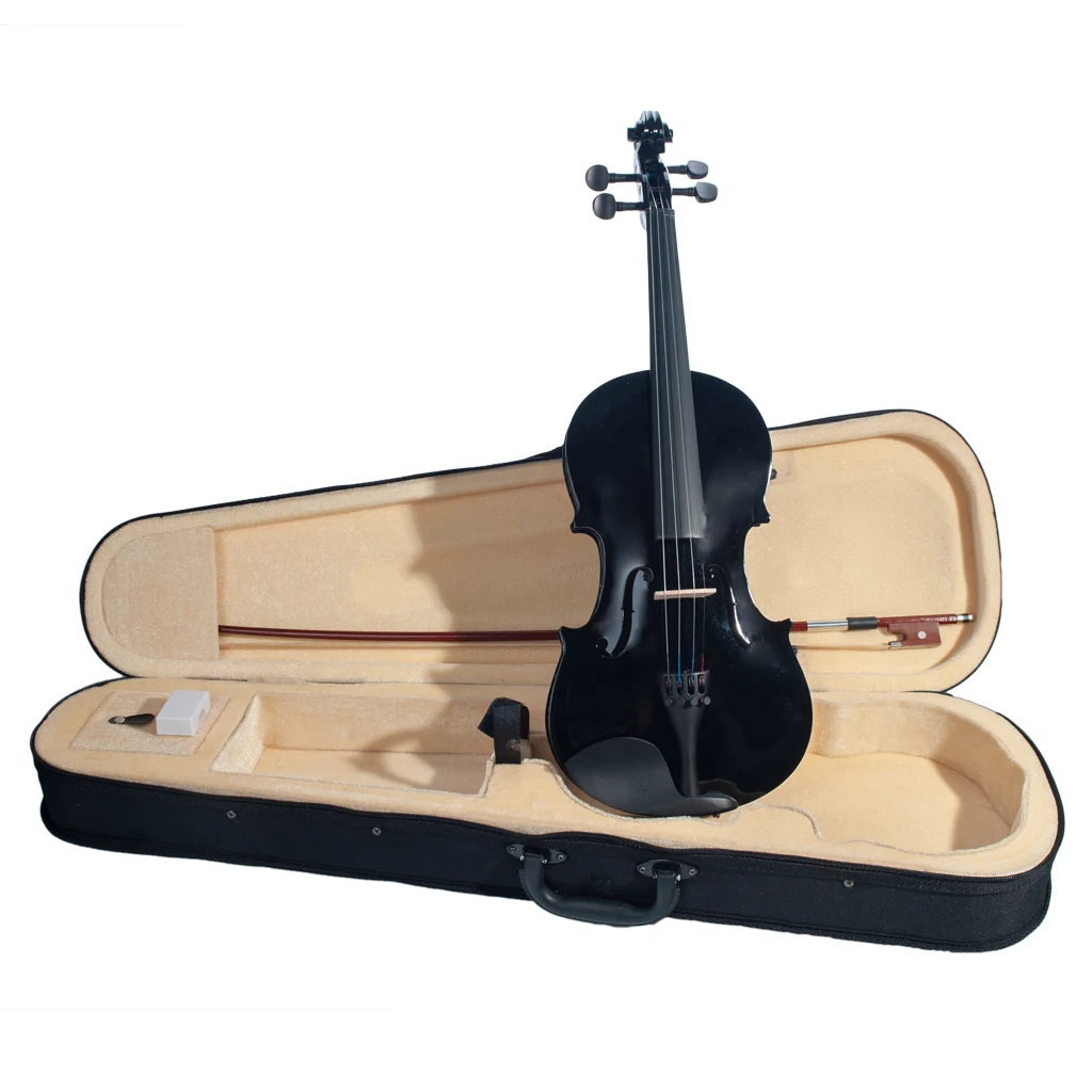 NAOMI 4/4 Acoustic Violin - Colored Basswood Fiddle
